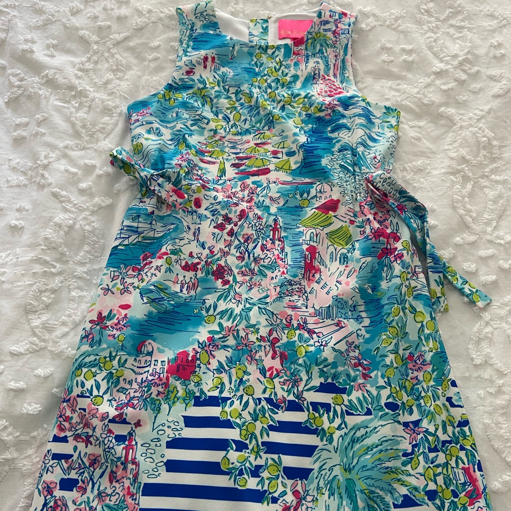 Lilly Pulitzer Sample Shift Dress Size S